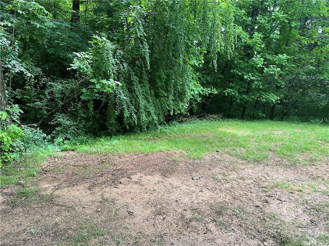 240 Byerly St, Mount Airy, NC 27030 - view of yard with a wooded view