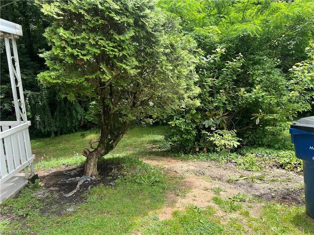 240 Byerly St, Mount Airy, NC 27030 - view of yard