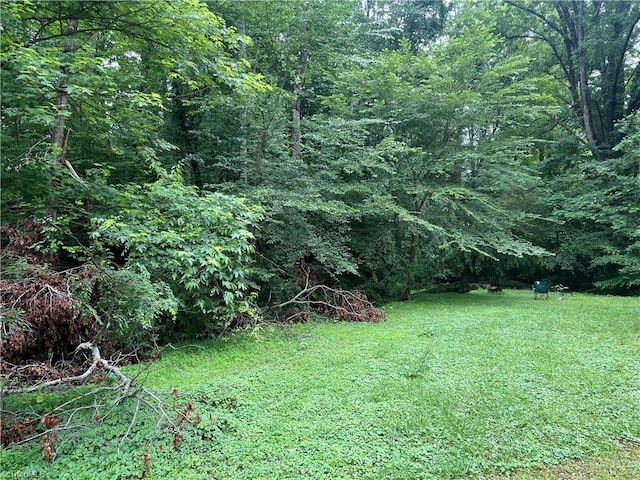 240 Byerly St, Mount Airy, NC 27030 - view of grassy yard with a forest view