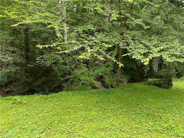 240 Byerly St, Mount Airy, NC 27030 - view of green lawn featuring a forest view