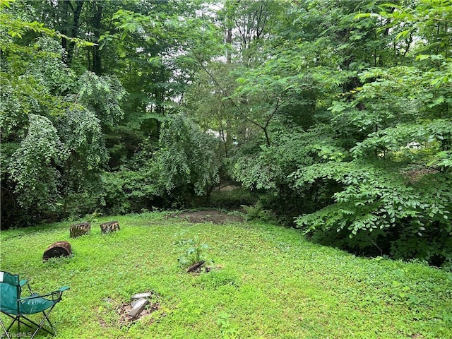 240 Byerly St, Mount Airy, NC 27030 - view of green lawn with a wooded view