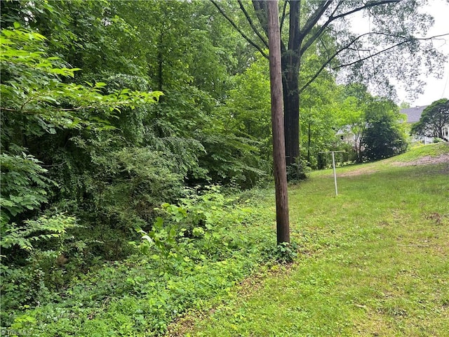240 Byerly St, Mount Airy, NC 27030 - view of nature