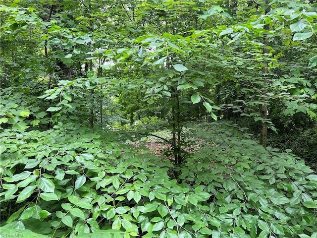 240 Byerly St, Mount Airy, NC 27030 - view of undeveloped land