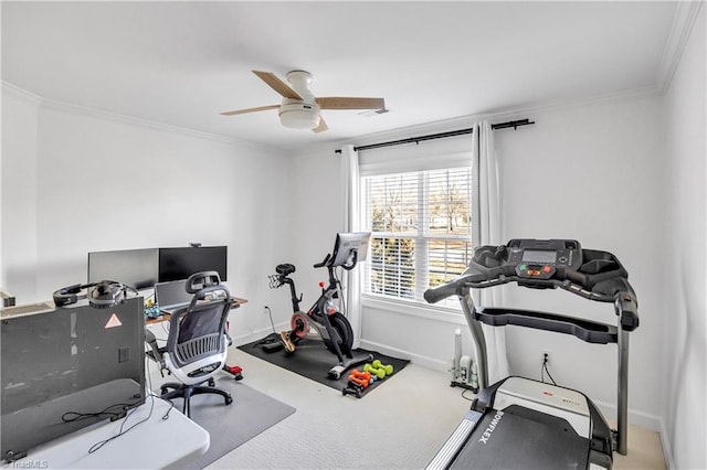 workout room featuring crown molding, carpet floors, and ceiling fan