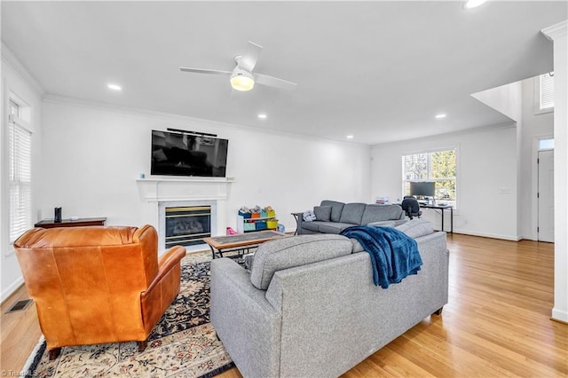 living room featuring ceiling fan, ornamental molding, and light hardwood / wood-style floors