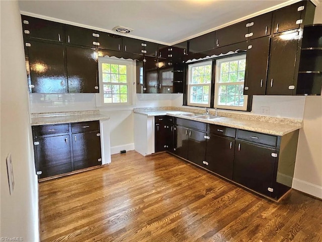 kitchen featuring sink, wood-type flooring, and plenty of natural light