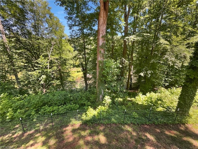 3230 High Cliffs Rd, Pfafftown, NC 27040 - view of nature