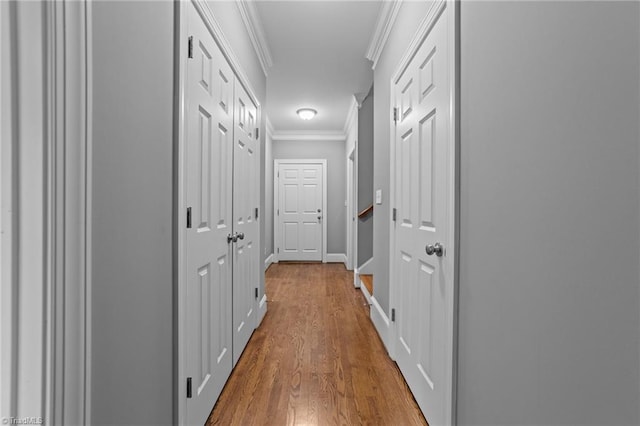 corridor featuring crown molding and wood-type flooring