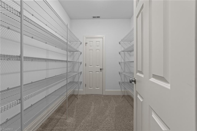 walk in closet with carpet