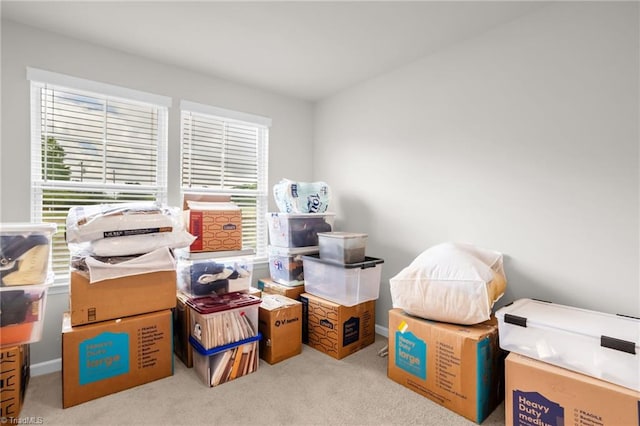 1230 Evelynnview Ln, Kernersville, NC 27284 - view of storage area