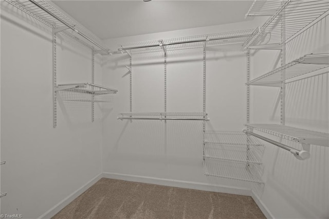 1400 Covered Wagon Rd, Mcleansville, NC 27301 - spacious closet with carpet