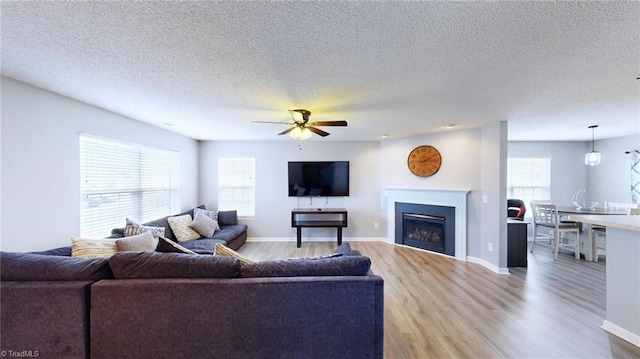 living room with ceiling fan, light hardwood / wood-style flooring, and a textured ceiling