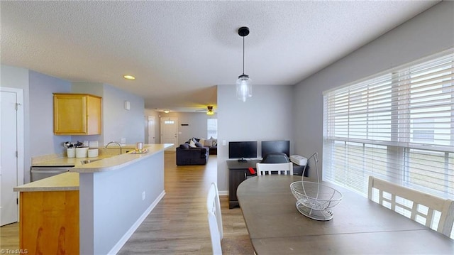 dining area with sink, ceiling fan, a textured ceiling, and light wood-type flooring