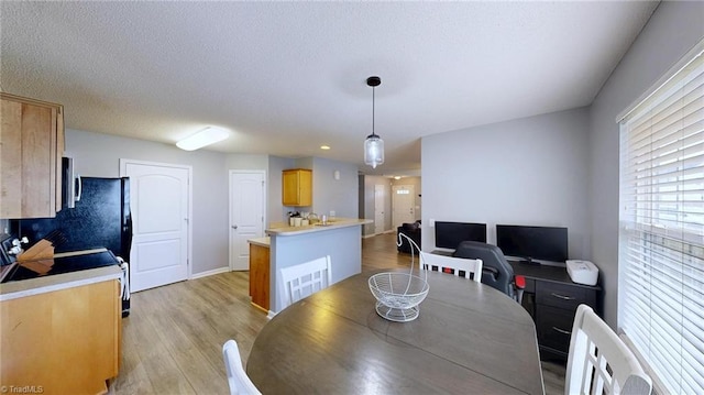 dining area featuring light hardwood / wood-style floors and a textured ceiling