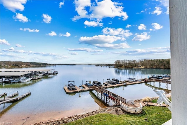 dock area with a water view