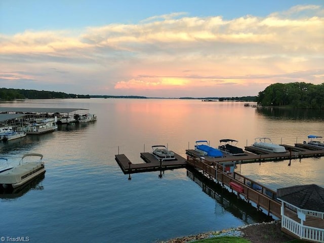 dock area featuring a water view