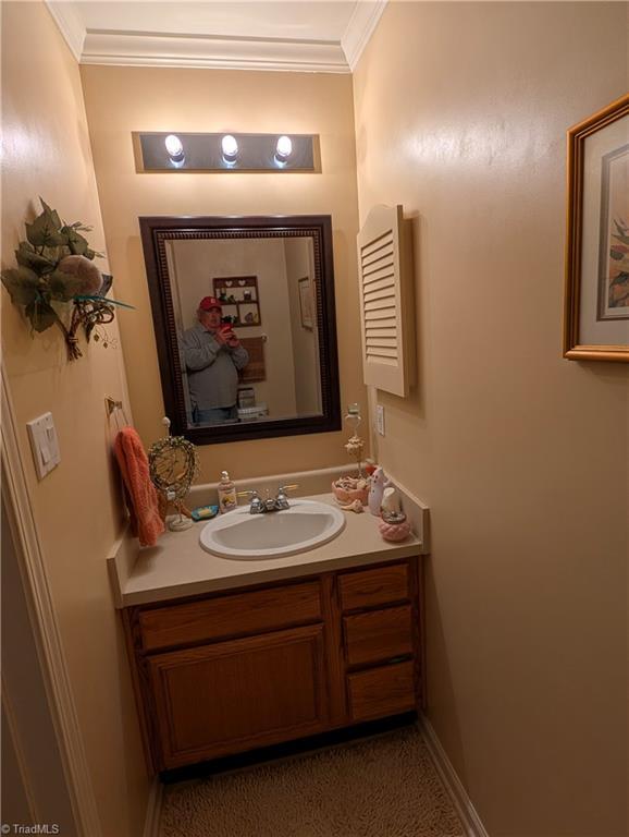 bathroom featuring ornamental molding and vanity