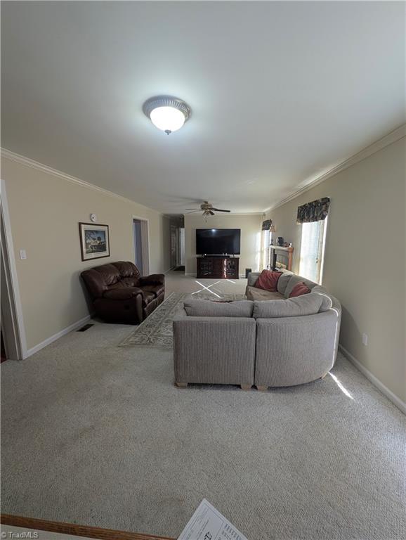 living room with ceiling fan, carpet flooring, and crown molding