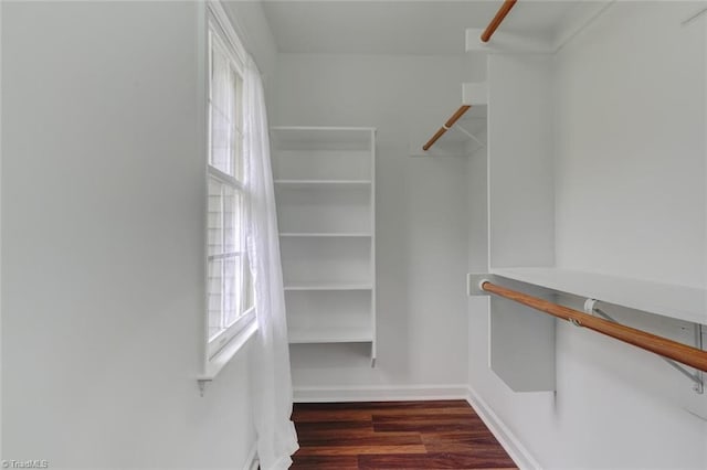 spacious closet with dark hardwood / wood-style floors