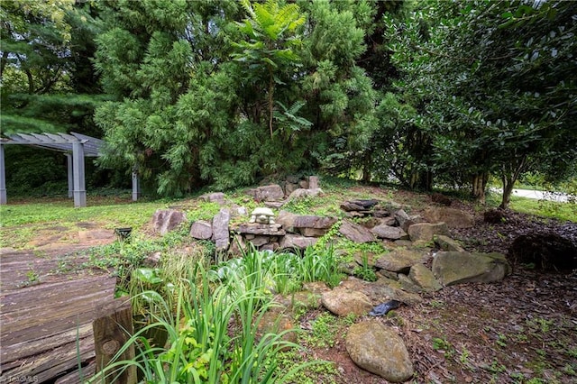 view of yard featuring a pergola