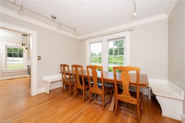 dining room with ornamental molding, rail lighting, light hardwood / wood-style floors, and a wealth of natural light