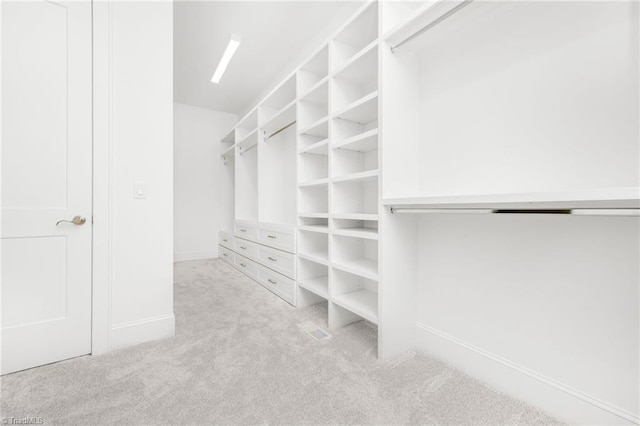 spacious closet with light colored carpet