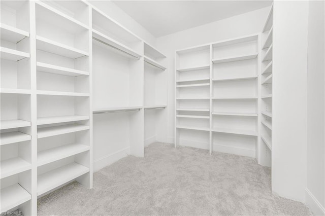 spacious closet featuring light carpet