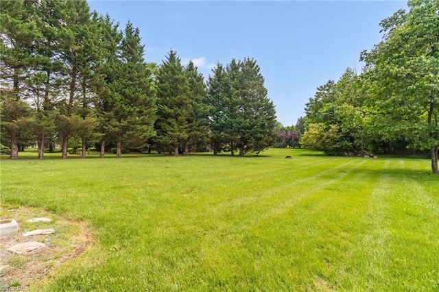 view of green lawn