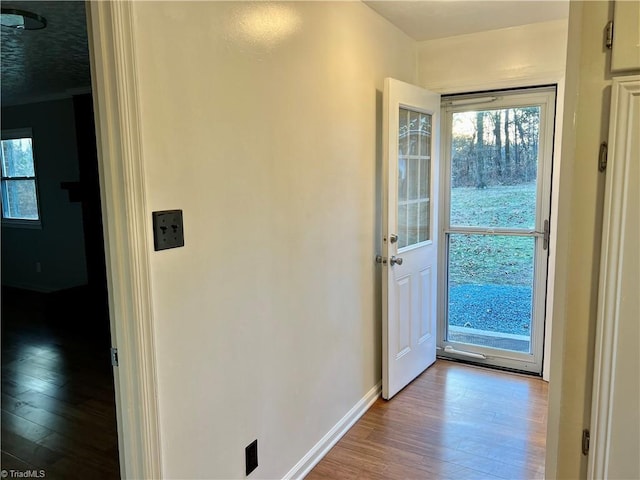 entryway featuring hardwood / wood-style floors