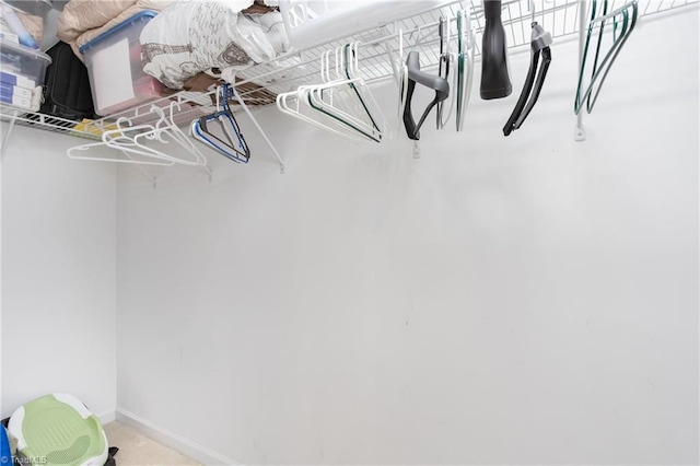 spacious closet with carpet floors