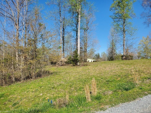 Listing photo 2 for 0 Rising Sun Way, Franklinville NC 27248