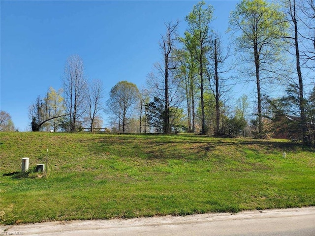 Listing photo 3 for 0 Rising Sun Way, Franklinville NC 27248