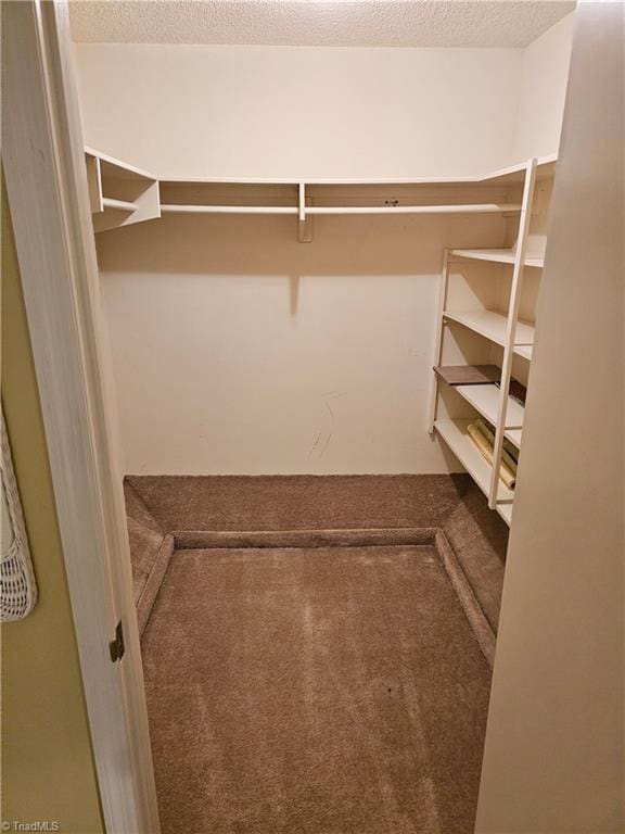 spacious closet featuring carpet