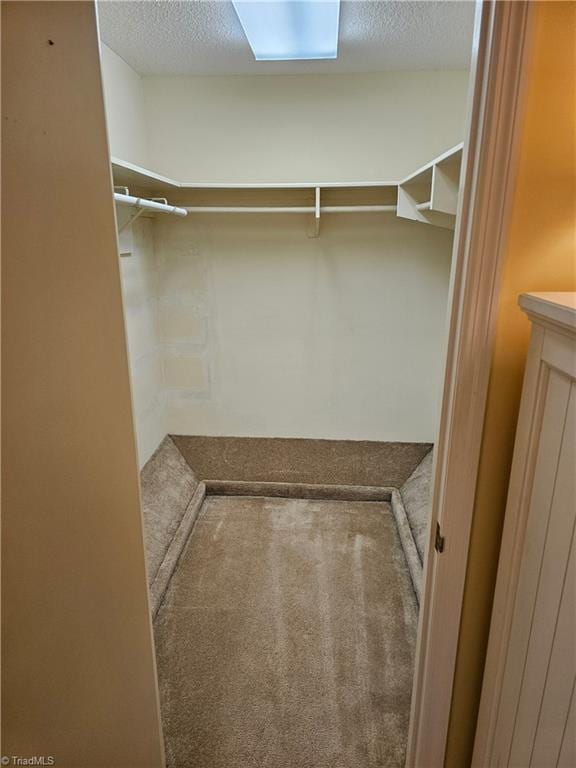 walk in closet with carpet flooring