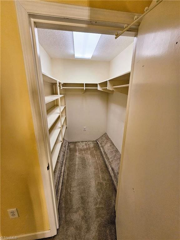 spacious closet with carpet flooring