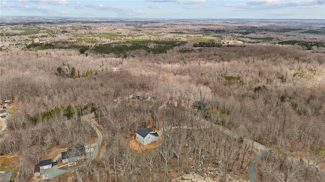 drone / aerial view