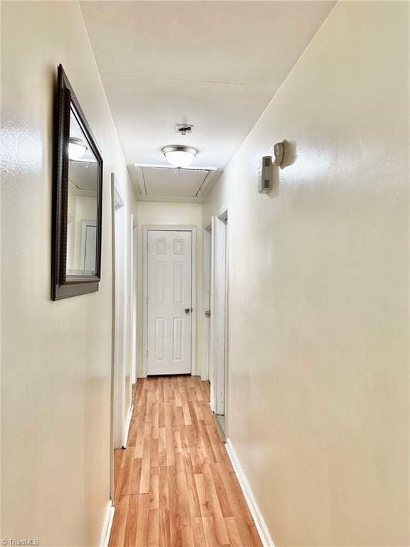 hall with light hardwood / wood-style flooring