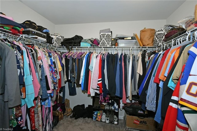 spacious closet featuring carpet floors