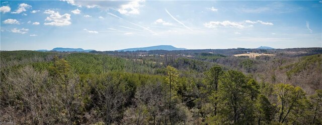 74.83 Windy Hill Rd, Westfield, NC 27053