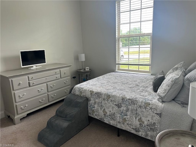 107 Saddlebrook Dr, Advance, NC 27006 - bedroom featuring carpet