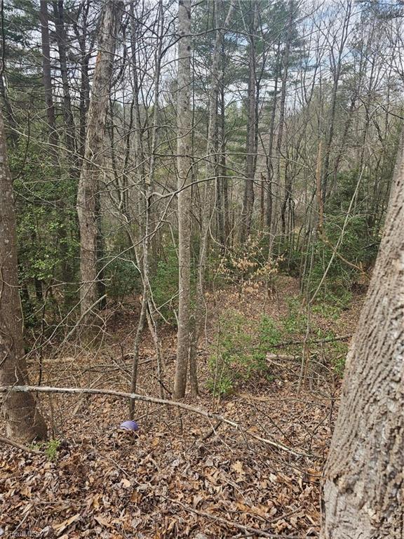 Listing photo 3 for LOT10 Linda Carol Ave, Wilkesboro NC 28697