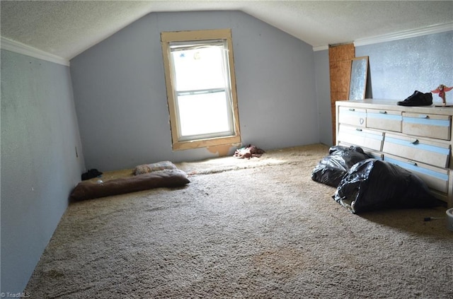 2706 W English Rd, High Point, NC 27262 - bonus room featuring carpet floors, vaulted ceiling, and a textured ceiling