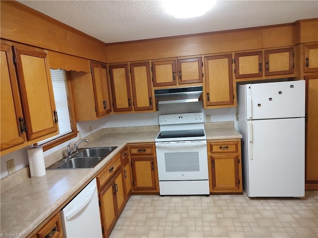 3785 Ellisboro Rd, Stokesdale, NC 27357 - kitchen with white appliances, under cabinet range hood, a sink, brown cabinets, and a textured ceiling
