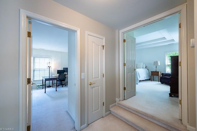 121 Walter Hagen Dr, Mebane, NC 27302 - hall featuring carpet, an office area, and plenty of natural light