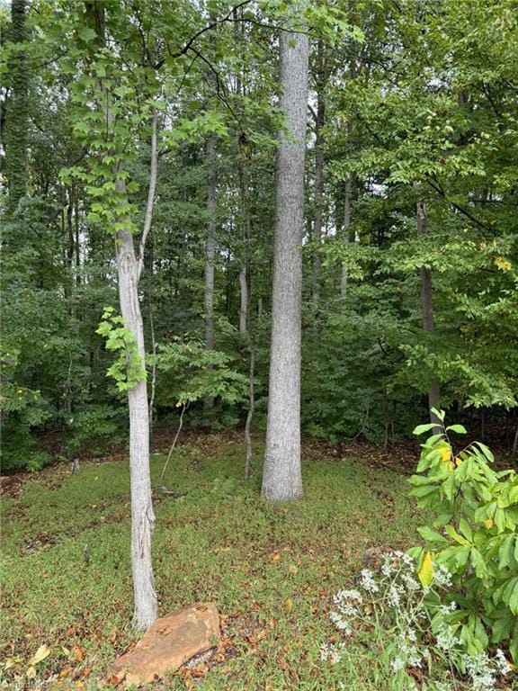 721 Surrey Path Trl, Winston-Salem, NC 27104