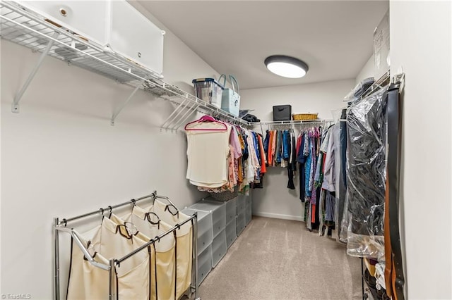 1720 Ridge Bluff Cir, Rural Hall, NC 27045 - walk in closet with carpet flooring