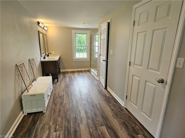 interior space featuring a stall shower, wood finished floors, vanity, and baseboards