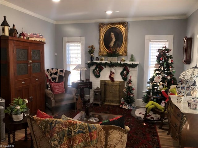 living room with a healthy amount of sunlight, crown molding, and hardwood / wood-style floors