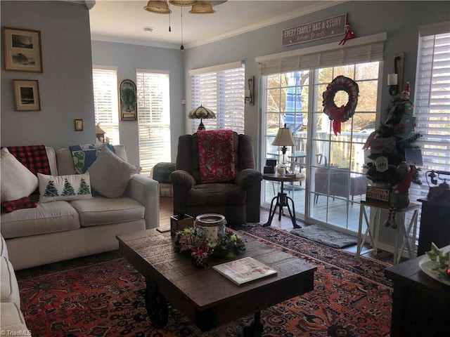 living room with ornamental molding, hardwood / wood-style floors, and a healthy amount of sunlight