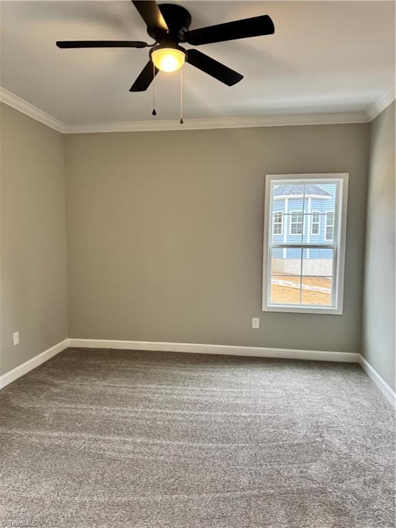 unfurnished room featuring ornamental molding, ceiling fan, and carpet